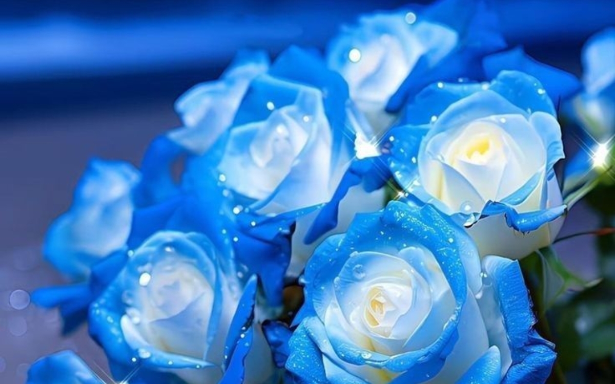 Hoa hồng – Ý nghĩa và bí quyết giữ hoa tươi lâu tại nhà